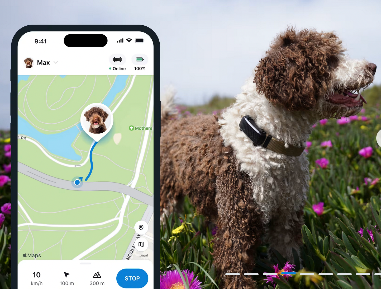 GPS Tracker for Dogs